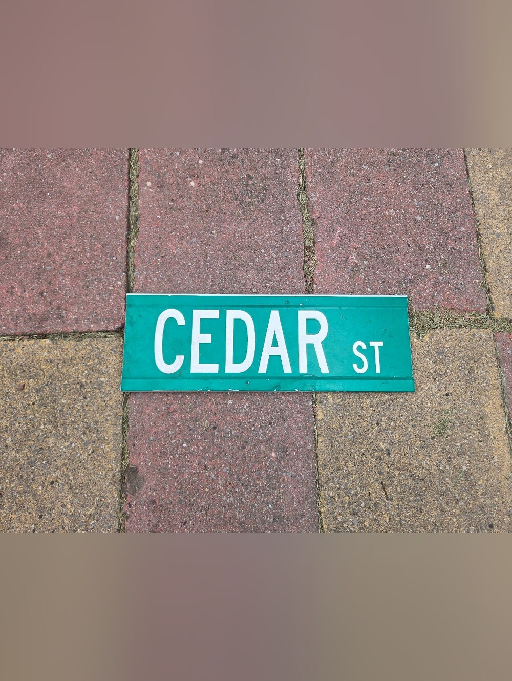Green & White CEDAR STREET roadsign Retired 18 Inches - Man Cave / Garage Decor